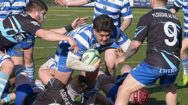 Rugby. Fédérale 3 : Plouzané fait respecter la logique face à Quimper